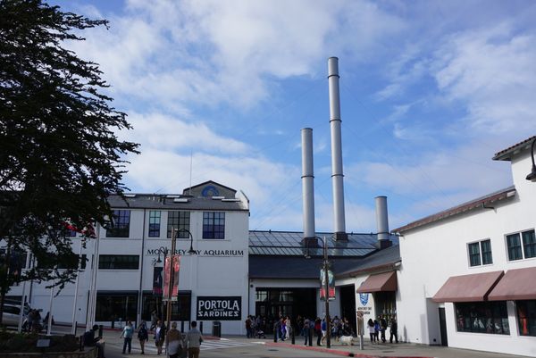 アメリカ(米国)・カリフォルニア・モントレー・カーメルバイザシー「モントレー・カーメルバイザシー」の写真:モントレーベイ水族館はイワシの缶詰工場を...