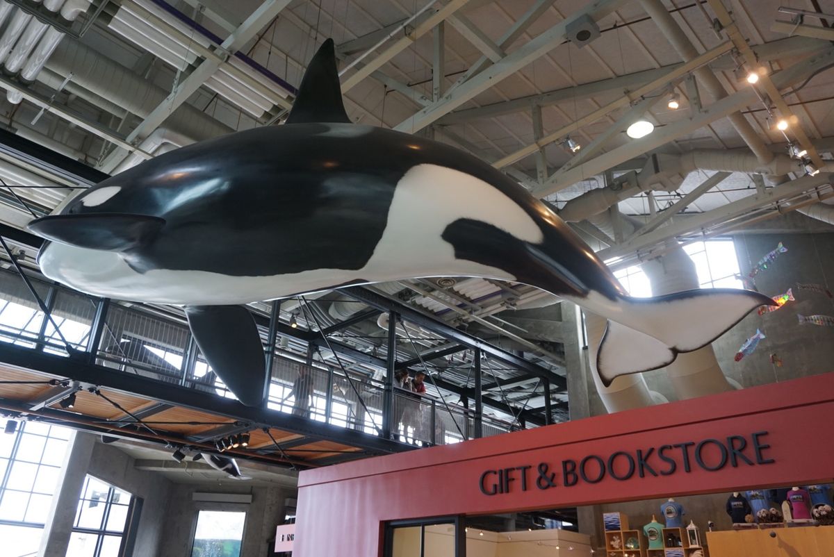 モントレーベイ水族館はイワシの缶詰工場をリノベーション！煙突もその名残かな⁈