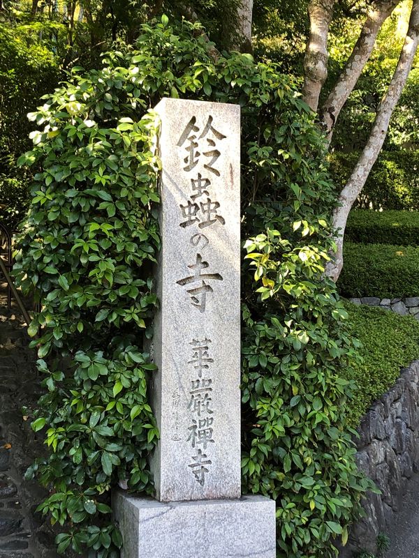 日本・京都「京都旅行」の写真