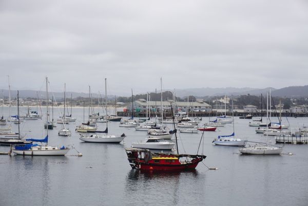 アメリカ(米国)・カリフォルニア・モントレー・カーメルバイザシー「モントレー・カーメルバイザシー」の写真