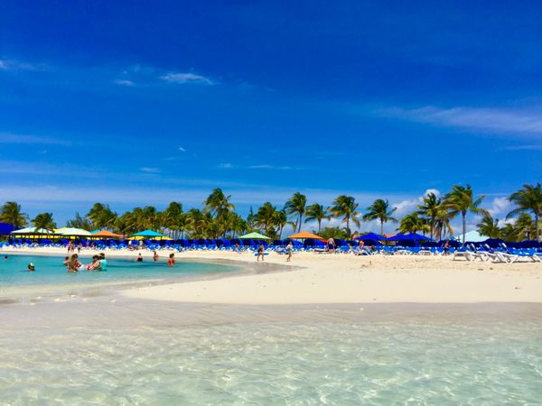 バハマ「バハマ」の写真