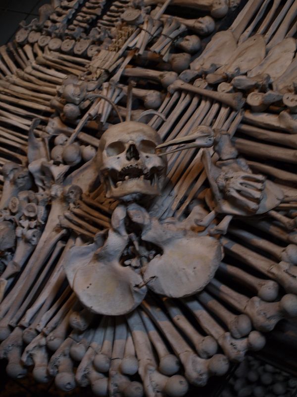 チェコ共和国・プラハ「世界遺産とビール@チェコ」の写真