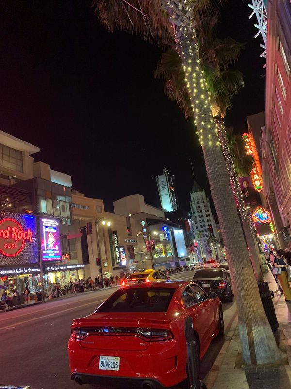 アメリカ(米国)・ロサンゼルス「ロサンゼルス留学」の写真：Hollywood