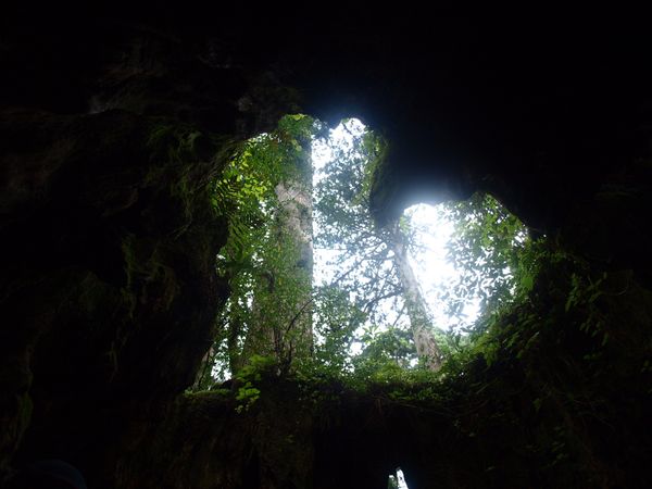 日本・鹿児島県「縄文杉トレッキング@屋久島」の写真