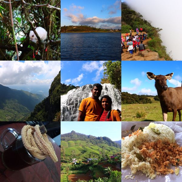 スリランカ・Colombo「北半球放浪記 2017-18 🇱🇰」の写真：@Nuwara Eliya