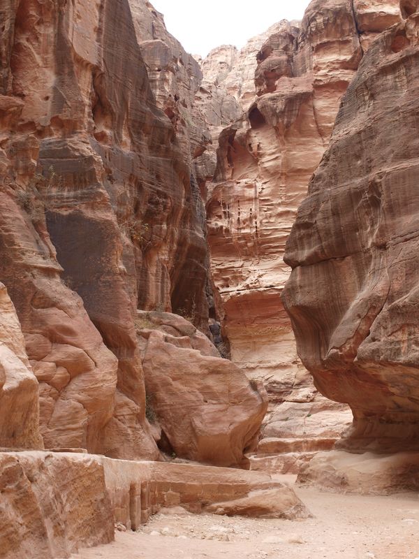 ヨルダン・死海「砂漠デビュー@ヨルダン」の写真