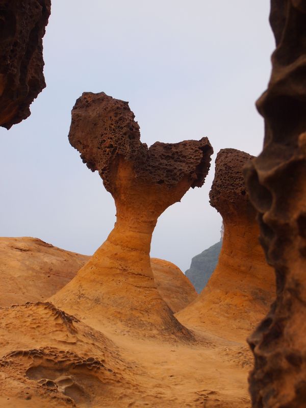 台湾・台北「B級グルメ＆スイーツ@台北」の写真