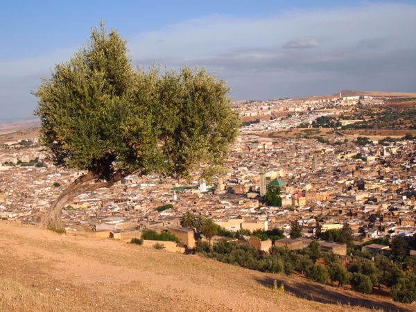モロッコ・カサブランカ「サハラ砂漠を目指して@モロッコ」の写真