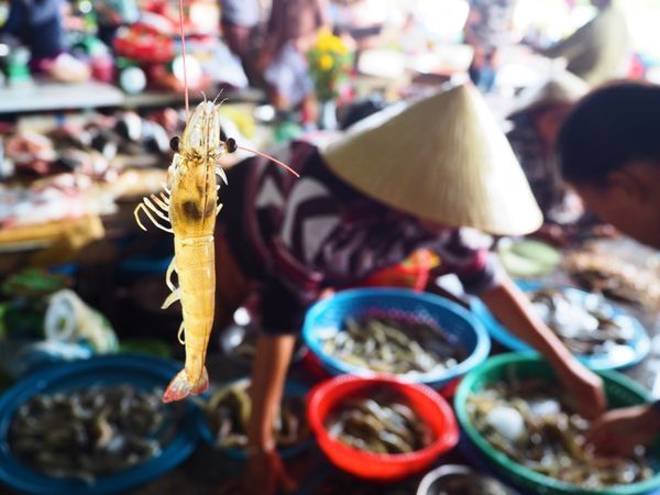 ベトナム・ダナン「往復３万円の航空券でホイアンへ」の写真