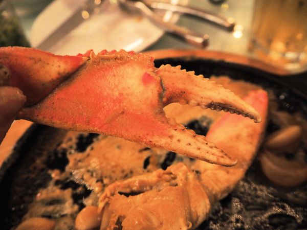 アメリカ(米国)・サンフランシスコ「サンフランシスコ＆マイアミ トランジット」の写真