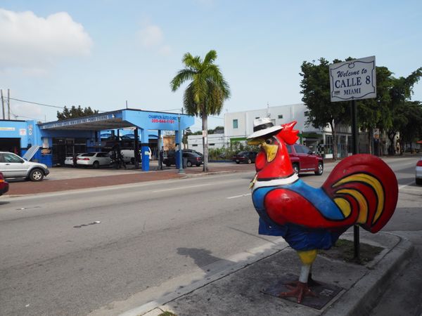 アメリカ(米国)・サンフランシスコ「サンフランシスコ＆マイアミ トランジット」の写真