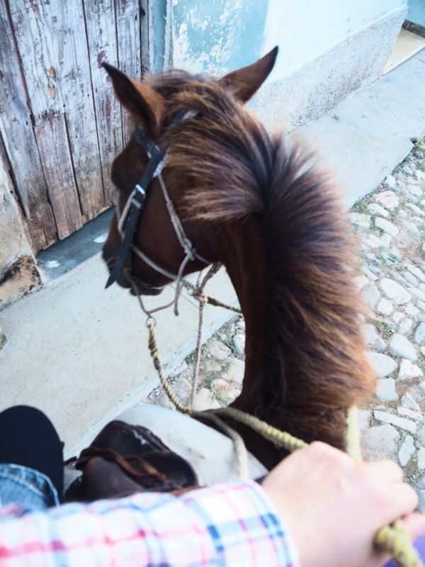 キューバ・ハバナ「キューバ オトナ女子旅」の写真