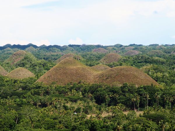 フィリピン・セブ島「ターシャに会いにボホール島へ」の写真
