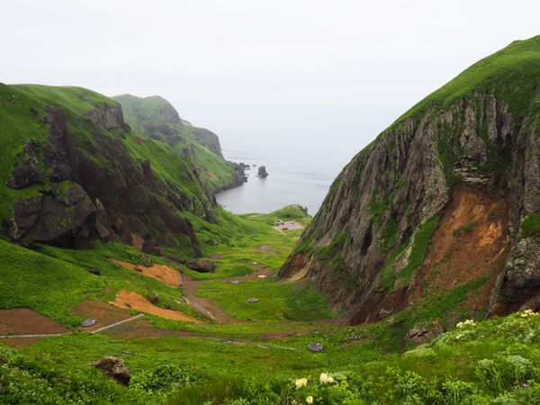 日本・北海道「そうだ、ウニを食べに行こう」の写真