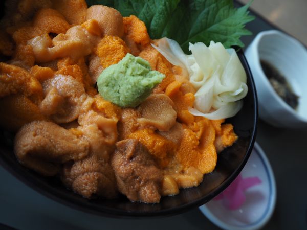 日本・北海道「そうだ、ウニを食べに行こう」の写真