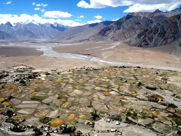 インド・デリー「標高3600mトレッキング@ザンスカール」の写真