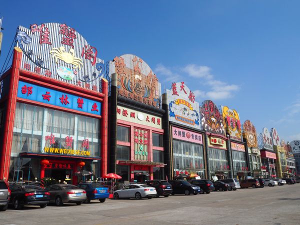 中国・上海「そうだ、上海蟹を食べに行こう」の写真