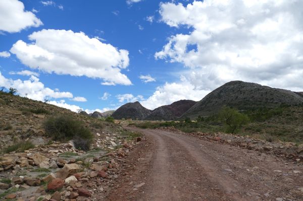 ボリビア多民族国・ラパス「最高ボリビア 2016.12」の写真：ボリビアと言えば、トロトロ国立公園！！！...