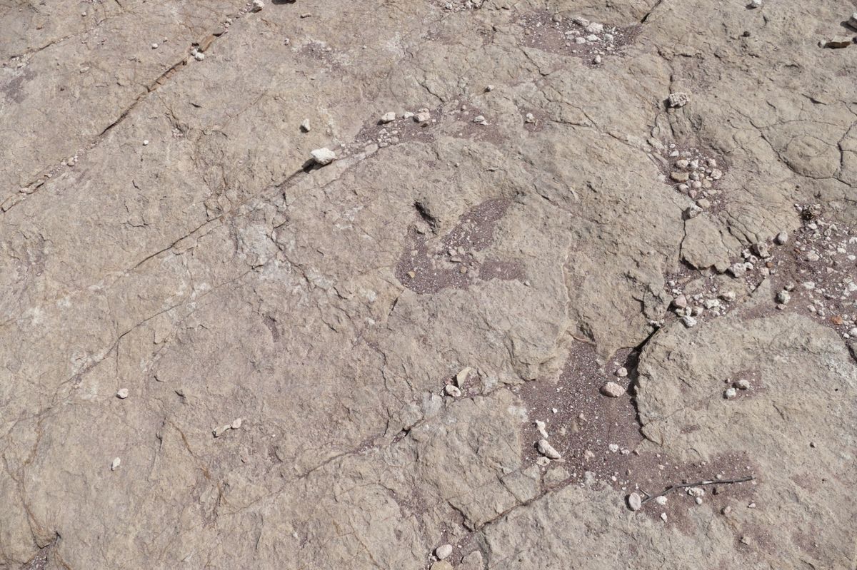 ボリビアと言えば、トロトロ国立公園！！！
コチャバンバからガタガタ道を3時...
