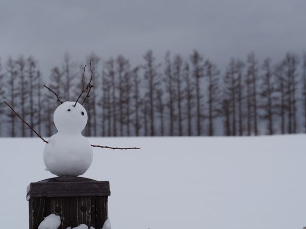 日本・北海道「そうだ 冬の美瑛、行こう」の写真