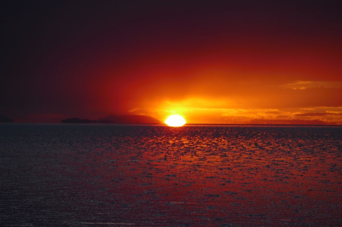 ①ウユニ塩湖の近くのサボテン🌵に止まっていた鳥。
②ウユニ塩湖
③列車の墓...