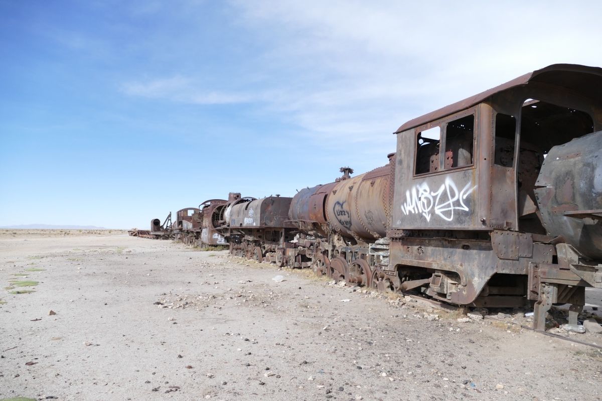 ①ウユニ塩湖の近くのサボテン🌵に止まっていた鳥。
②ウユニ塩湖
③列車の墓...