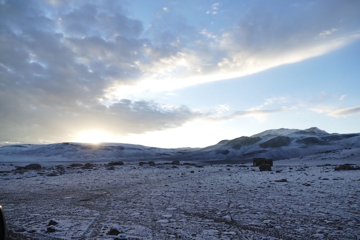 ①ウユニ塩湖の近くのサボテン🌵に止まっていた鳥。
②ウユニ塩湖
③列車の墓...