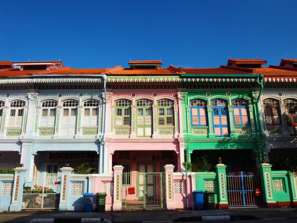 シンガポール・シンガポール「シンガポールひとりっぷ」の写真