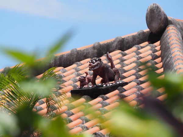 日本・竹富島「梅雨真っ只中の石垣島へ」の写真
