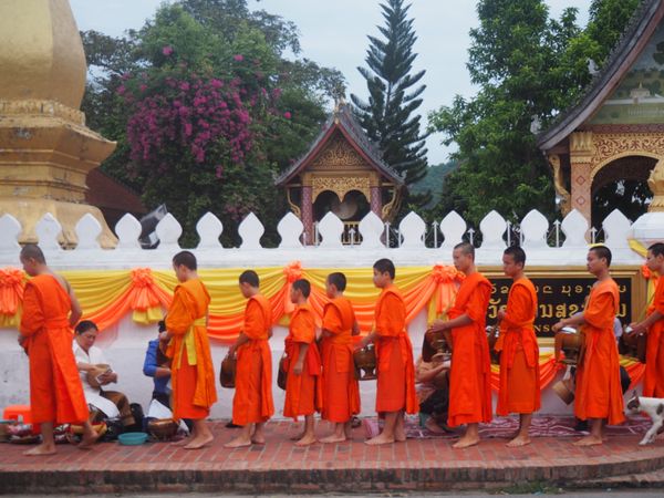 ラオス人民民主共和国・ルアンパバーン「ルアンパバーンひとりっぷ」の写真