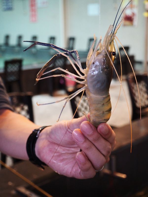 台湾・台北「高鉄に乗って台中へ」の写真