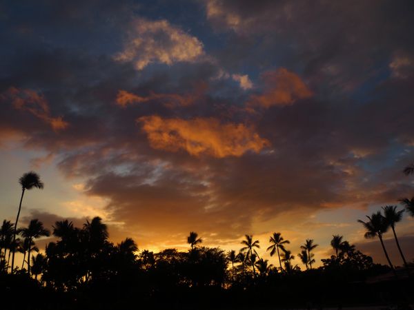 アメリカ(米国)・ハワイ島「レンタカーでハワイ島一周」の写真