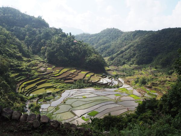 フィリピン・マニラ「世界遺産のライステラス@バナウェ」の写真