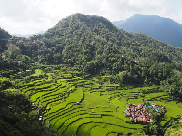 フィリピン・マニラ「世界遺産のライステラス@バナウェ」の写真