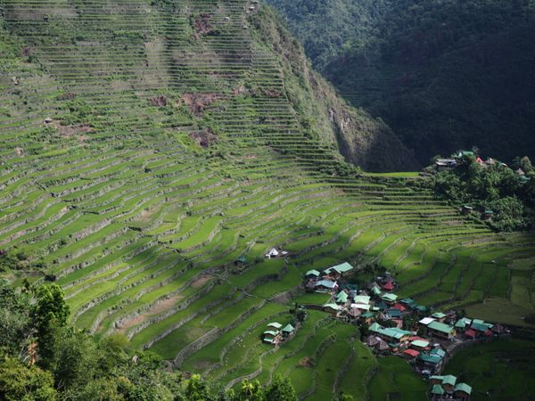 フィリピン・マニラ「世界遺産のライステラス@バナウェ」の写真