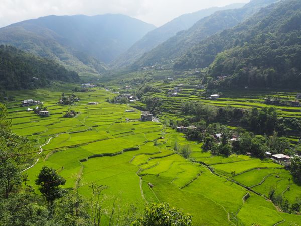 フィリピン・マニラ「世界遺産のライステラス@バナウェ」の写真