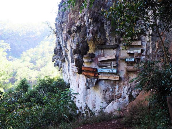 フィリピン・マニラ「世界遺産のライステラス@バナウェ」の写真