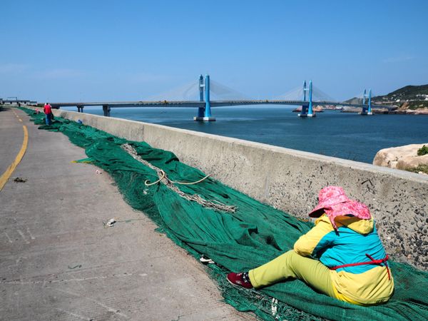 中国・上海「緑に飲み込まれた村@枸杞島」の写真