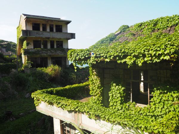 中国・上海「緑に飲み込まれた村@枸杞島」の写真