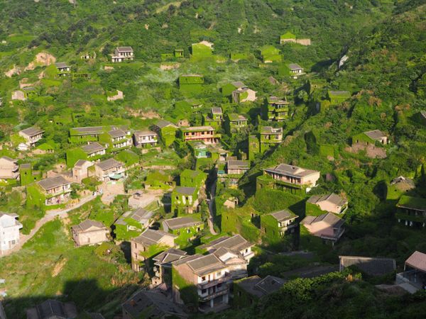 中国・上海「緑に飲み込まれた村@枸杞島」の写真