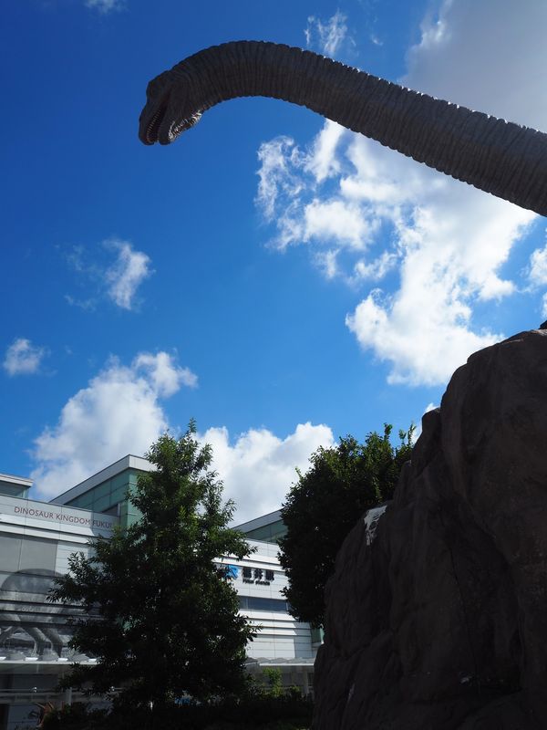 日本・福井県「JALどこかにマイル@小松」の写真