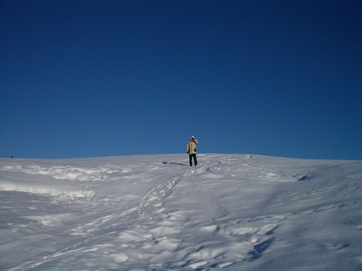 当時のカメラ（SONY サイバーショット）ではオーロラは撮れず。でも緑とピ...