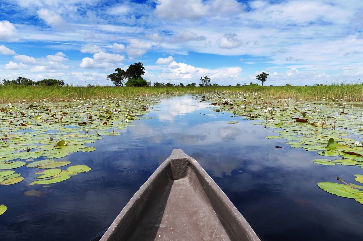 ボツワナのオカバンゴ湿地帯。
雨季と乾季でその様子は異なるようです。