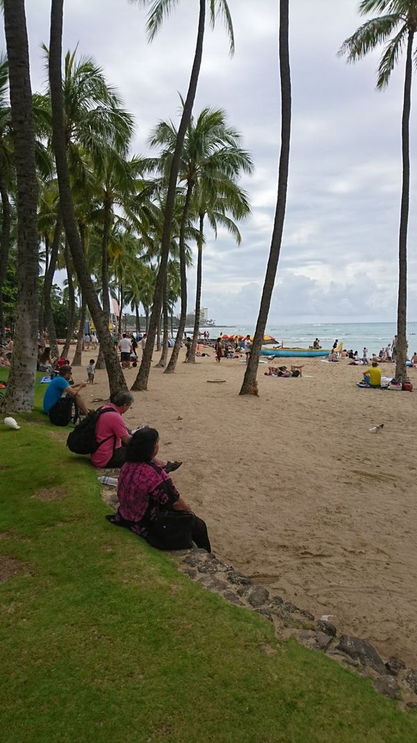 アメリカ(米国)・ハワイ ホノルル ノースショア ドール「ハワイ上陸 国際免許ドキドキ」の写真