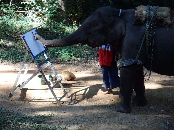 タイ・バンコク、チェンマイ「2018〜2019 バンコク、チェンマイ」の写真