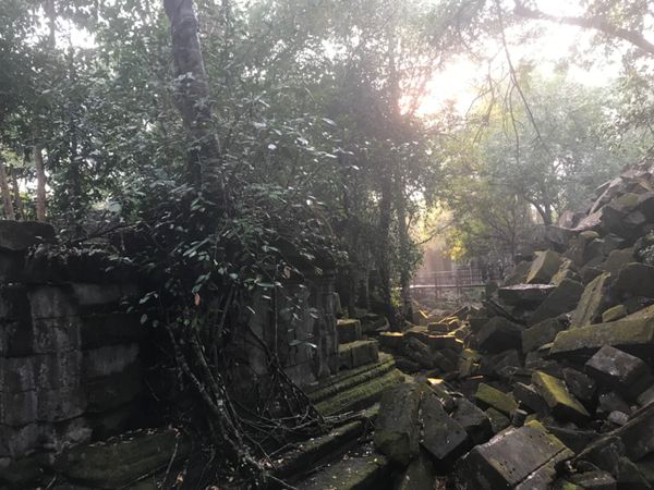 カンボジア・シェムリアップ「カンボジア🇰🇭」の写真