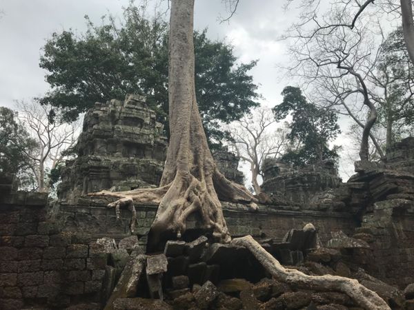 カンボジア・シェムリアップ「カンボジア🇰🇭」の写真
