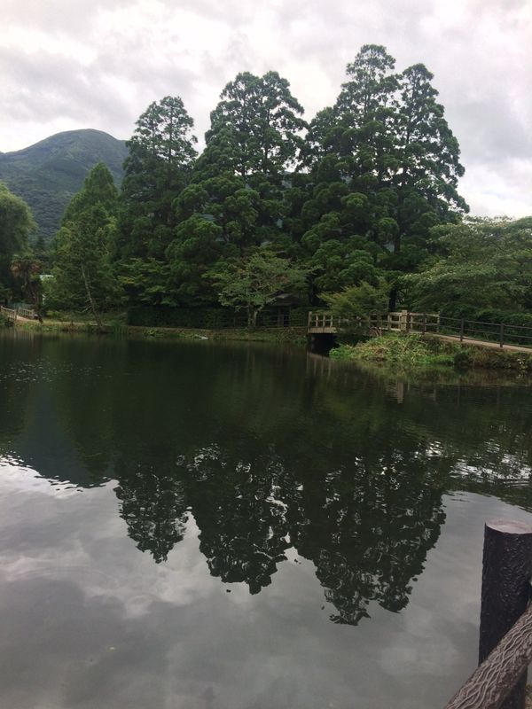 日本・湯布院「ひとり旅」の写真：早朝の金鱗湖-
朝のお散歩… 気持ちいい🌲
