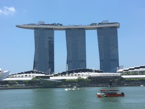 シンガポール・シンガポール「初海外旅行@シンガポール🇸🇬」の写真：F1が好きで、市街地コースを1周。チキン...