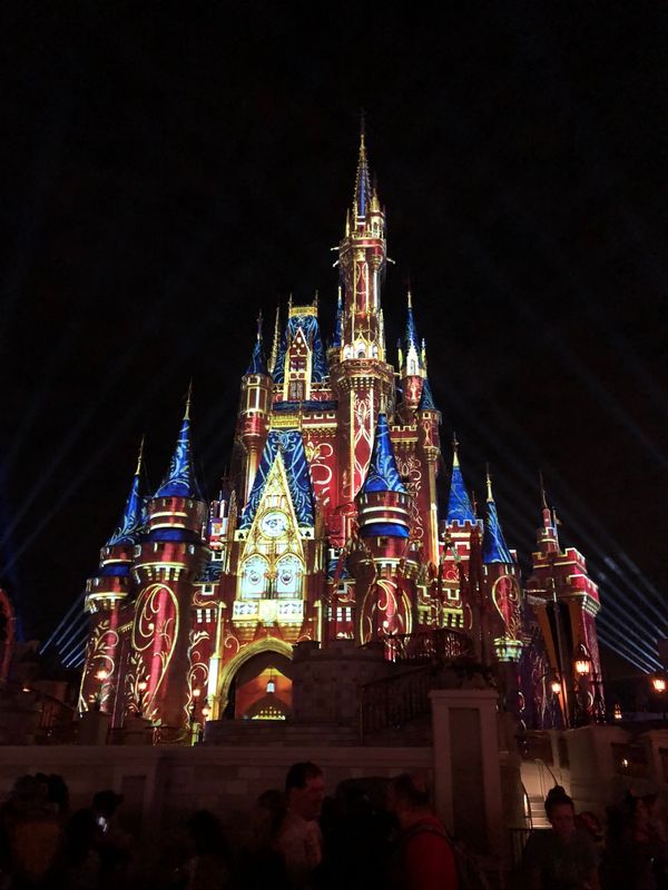 アメリカ(米国)・フロリダ、オーランド「フロリダ WDWの旅」の写真